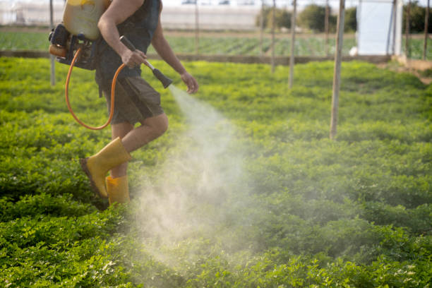 Best Commercial Pest Control Services  in Vancleave, MS
