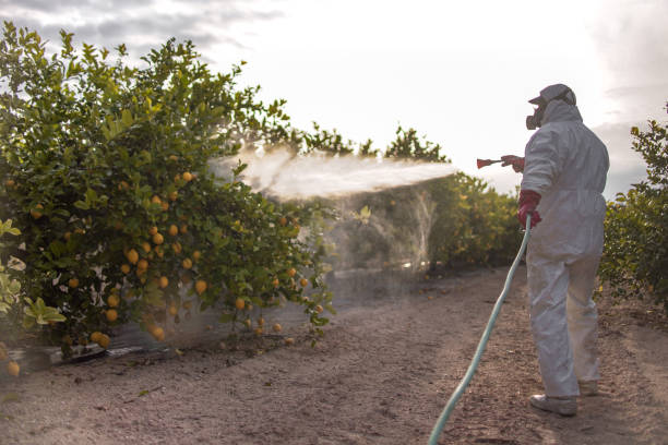 Pest Prevention Services in Vancleave, MS