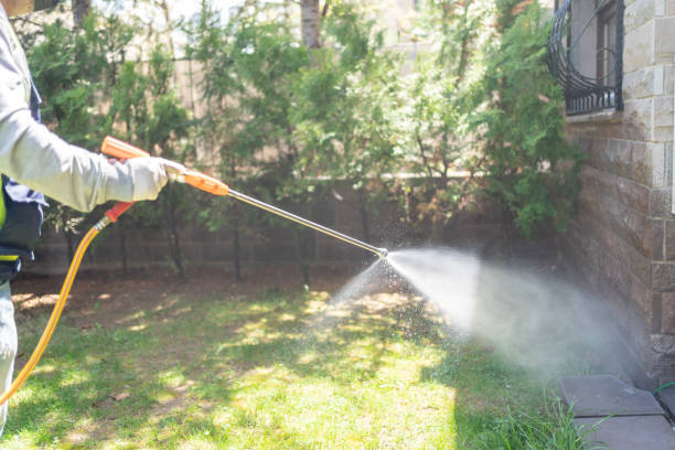 Trusted Vancleave, MS Pest Control Experts