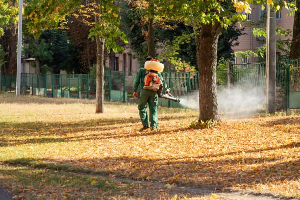 Best Exterminator Services  in Vancleave, MS
