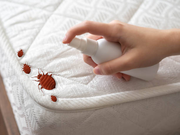 Best Best Pest Control Companies  in Vancleave, MS