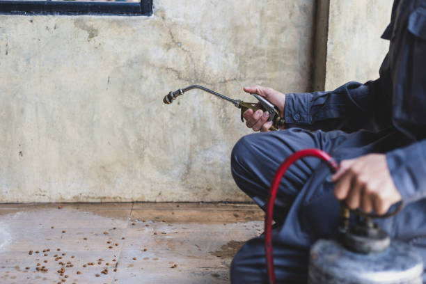 Best Pest Control Near Me  in Vancleave, MS